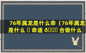 76年属龙是什么命（76年属龙是什么 ☘ 命适 🐒 合做什么）